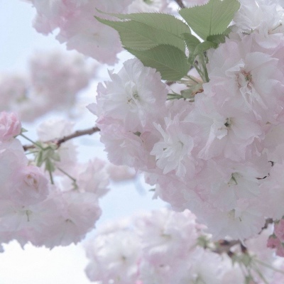 兽设拟人化设计实用技巧Furry群